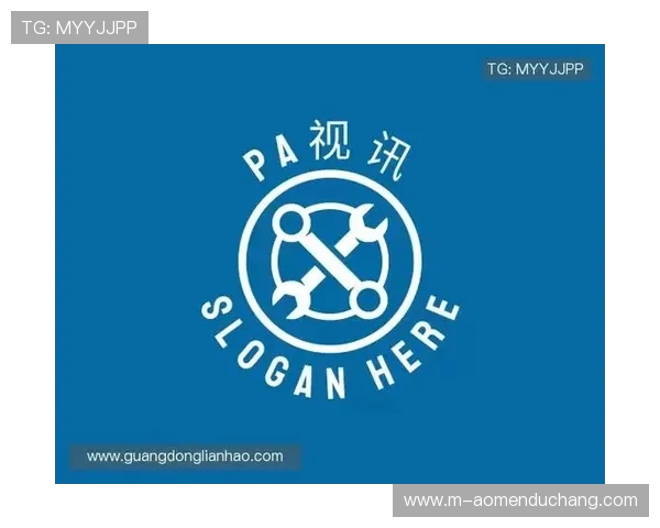 PA视讯集团网站优化方案与安全策略提升企业网站访问速度与安全保障